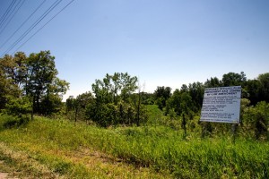 Future industrial wasteland Controversial power plants are not exclusive to Toronto: The provincial government has designated this green space in the Holland Marsh, right beside prime farmland and directly across the road from a nature preserve as the location of a new gas-fired plant. Locals and concerned citizens are fighting it.