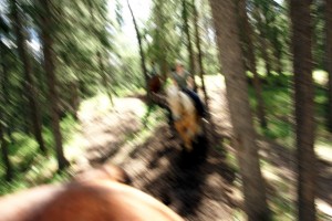 horse-blurry-09261s