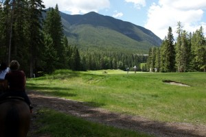 horse-golf-09327s