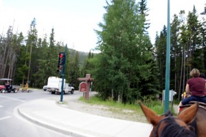 horse-red-light-09440s horse-red-light-09440s