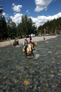 horse-water-crossing-09306s