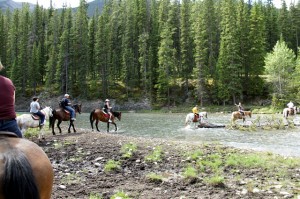 horse-water-crossing-09366s