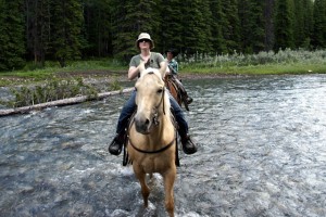 horse-water-crossing-09395s