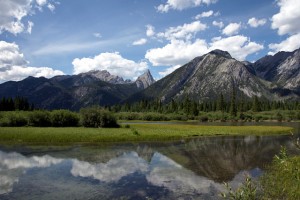 mt-edith-09485s