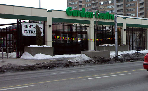 ct-main-garden-centre-2979.jpg
