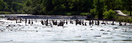 The view from afar The view from afar
