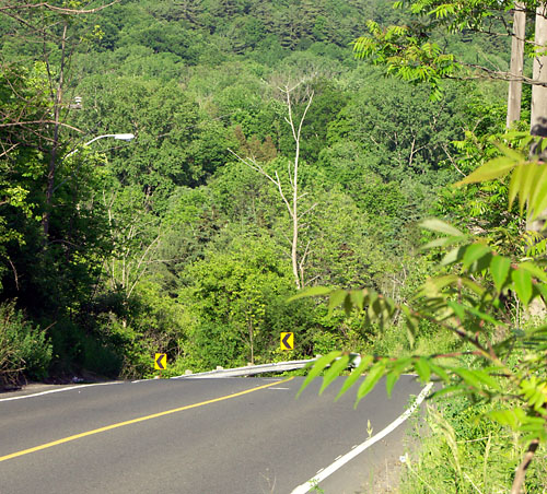 The best cycling hill in the city