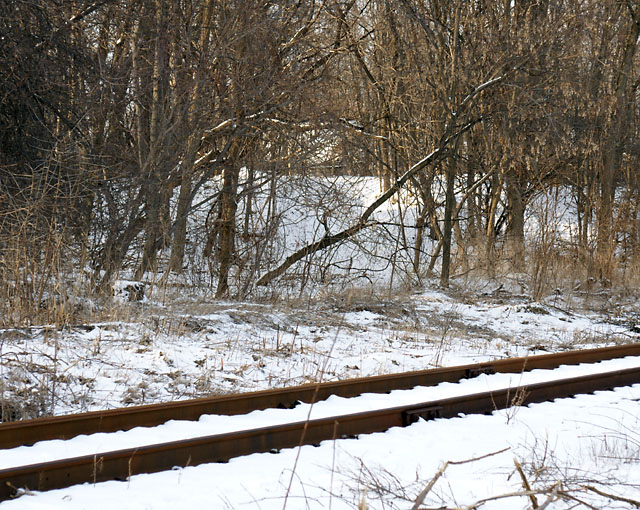 Pottery Road is more overgrown here, but the route is still apparent
