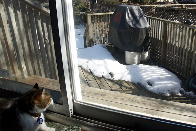 Waiting for the snow to melt