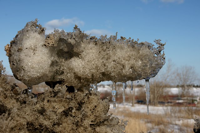 Tumour on Snow Mountain