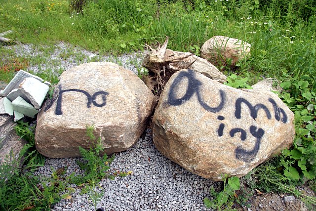 No dumbing
