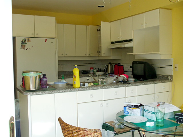 Before the renovation started
