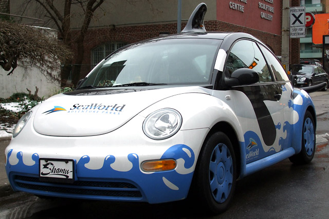 Shamu the Beetle (front)