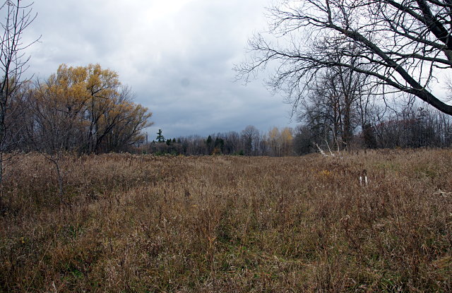 Meadow southwest of Passmore & Littles
