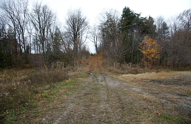 Passmore Avenue looking west toward Gordon Murison Lane
