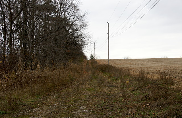 Passmore Avenue looking east, just east of Gordon Murison Lane