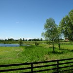 As you leave the last bits of suburbia behind, King Township becomes serious horse country, and the horses who live out here have some of the best views and poshest paddocks around.