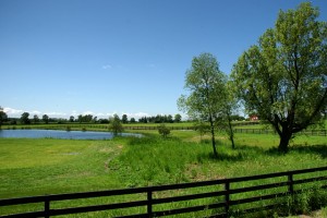 As you leave the last bits of suburbia behind, King Township becomes serious horse country, and the horses who live out here have some of the best views and poshest paddocks around.