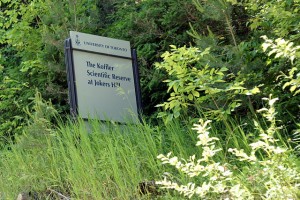 Of all the things you expect to see out here, a U of T sign on an embankment high above your head that declares the location of the Koffler Scientific Reserve at Jokers Hill isn't one of them.