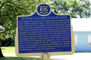 A historic plaque in the hamlet of Ansnorveldt detailing the Dutch settlements in the Holland Marsh. It's funny that Dutch emigrants would move to Canada and seek out a low-lying marshy area with lots of canals that was quite similar to what they left behind. Also, I didn't realize that the Holland Marsh as a farming area was established as recently as the 1930s.