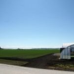 The Holland Marsh is home to some of the most productive farmland in the country. With views like this, you just want to roll around in the food all day long.
