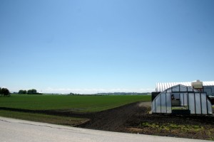 The Holland Marsh is home to some of the most productive farmland in the country. With views like this, you just want to roll around in the food all day long.
