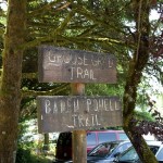 The Grouse Grind shares its trailhead with the Baden-Powell Trail that skirts the mountain but doesn
