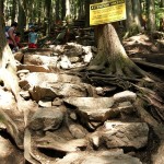 The trail has signs each 1/4 of the way up. Reaching the first quarter marker after 25 minutes of steady climbing and heavy breathing both deflated me and gave me determination to continue. The yellow sign warns that the remainder of the trail ahead is steep and difficult, as if the trail behind had been a walk in the park.