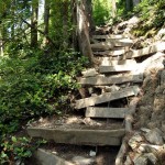 Steep staircases like this are quite common on the trail. Frequent switchbacks meant that you could be two linear feet away from somebody else on the trail, but they could be ten feet above you.