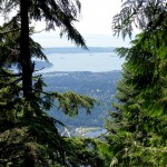 A rare hole in the tree cover allows a glimpse of the horizon. After an hour of climbing, it