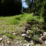 Ski runs look so inviting in the summer.