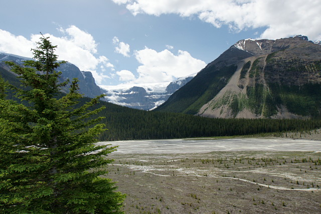 icefields-parkway-08692s icefields-parkway-08692s