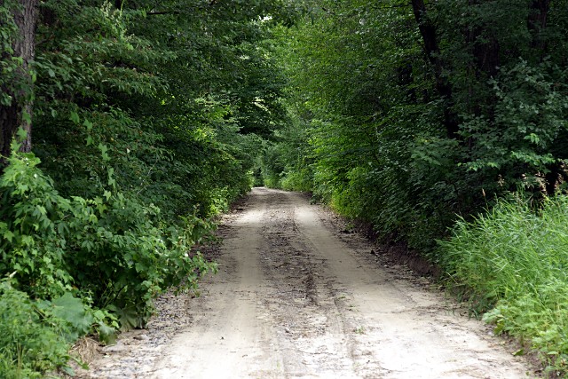 Dangerous Unmaintained Road Country lane