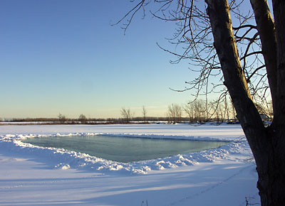 Natural ice rink in front of St. Jamestown Sailing Club