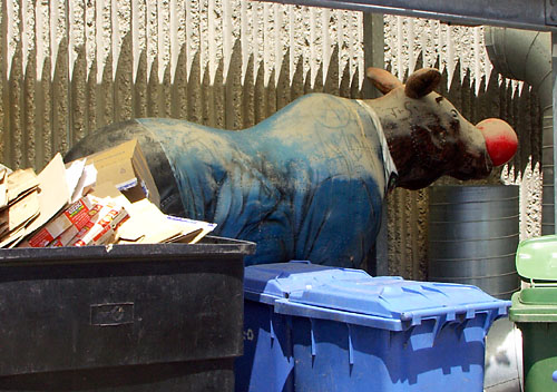 Time Moose Scape goes dumpster diving