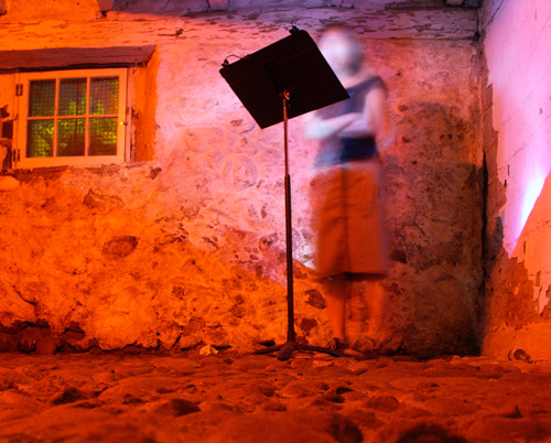 Elyne Quan gives a reading in the basement of Helliwell House