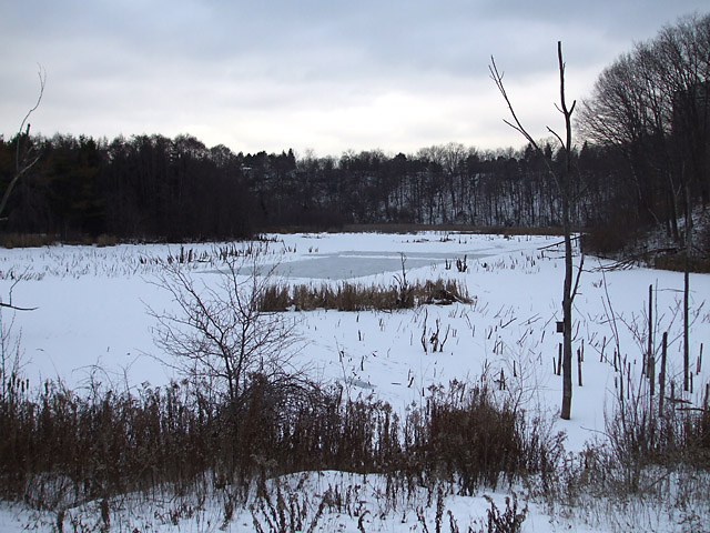 Natural ice rink in E.T. Seton Park