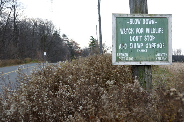 Informal signage on Reesor Road