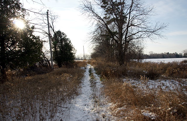 Passmore Avenue looking west, west of Beare Road