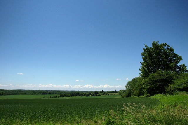 The relentless march of suburbia to the south finally melts away into farmland as you pass through Vaughan