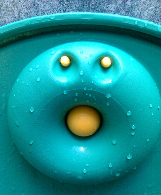 Face in a food container