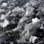 Feather ice