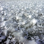 Feather ice field on Rice Lake