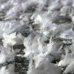 Feather ice on Rice Lake