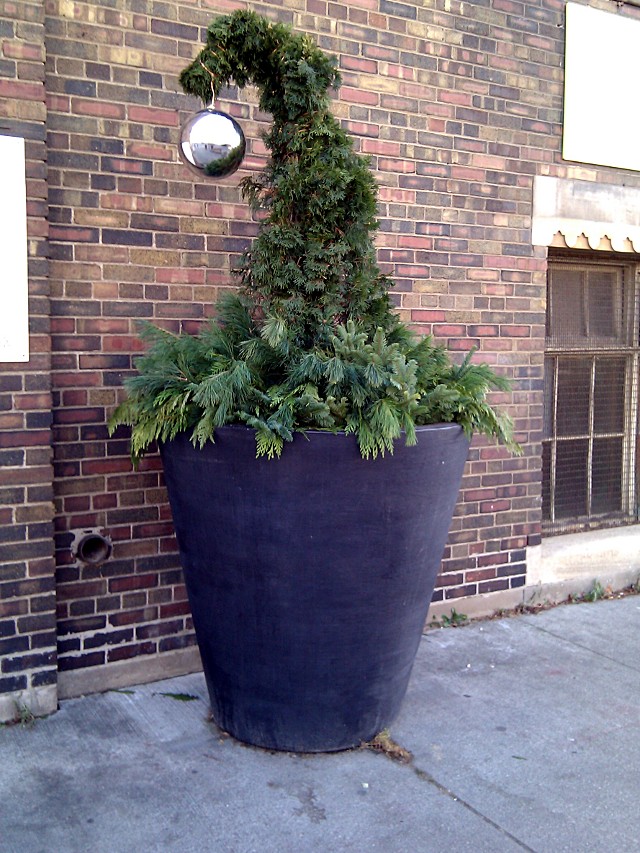 Whoville Tree on the Danforth