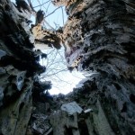 The sky through a hollow tree stump