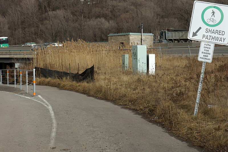 Welcome, eastbound cyclists.