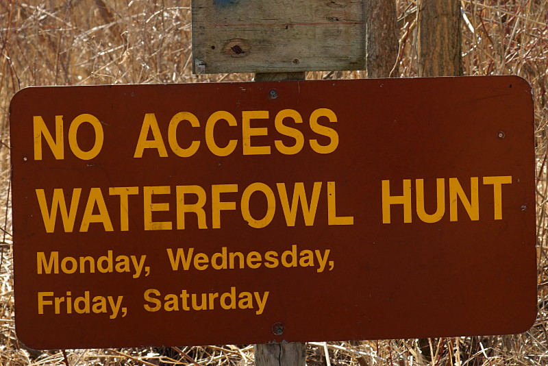 Waterfowl hunt every other day