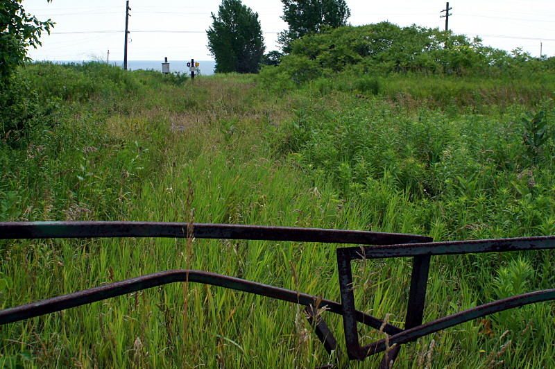 Pedestrian crossing in a field