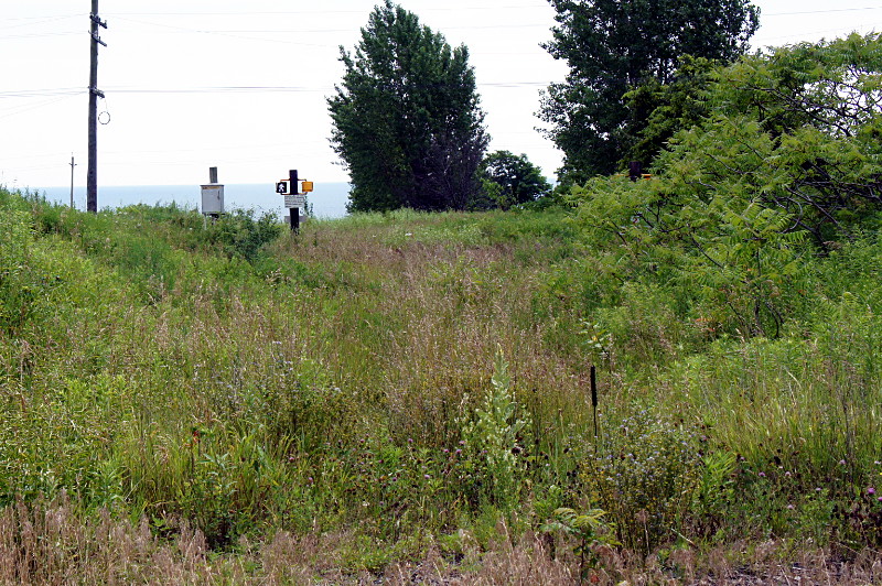 Pedestrian crossing in a field